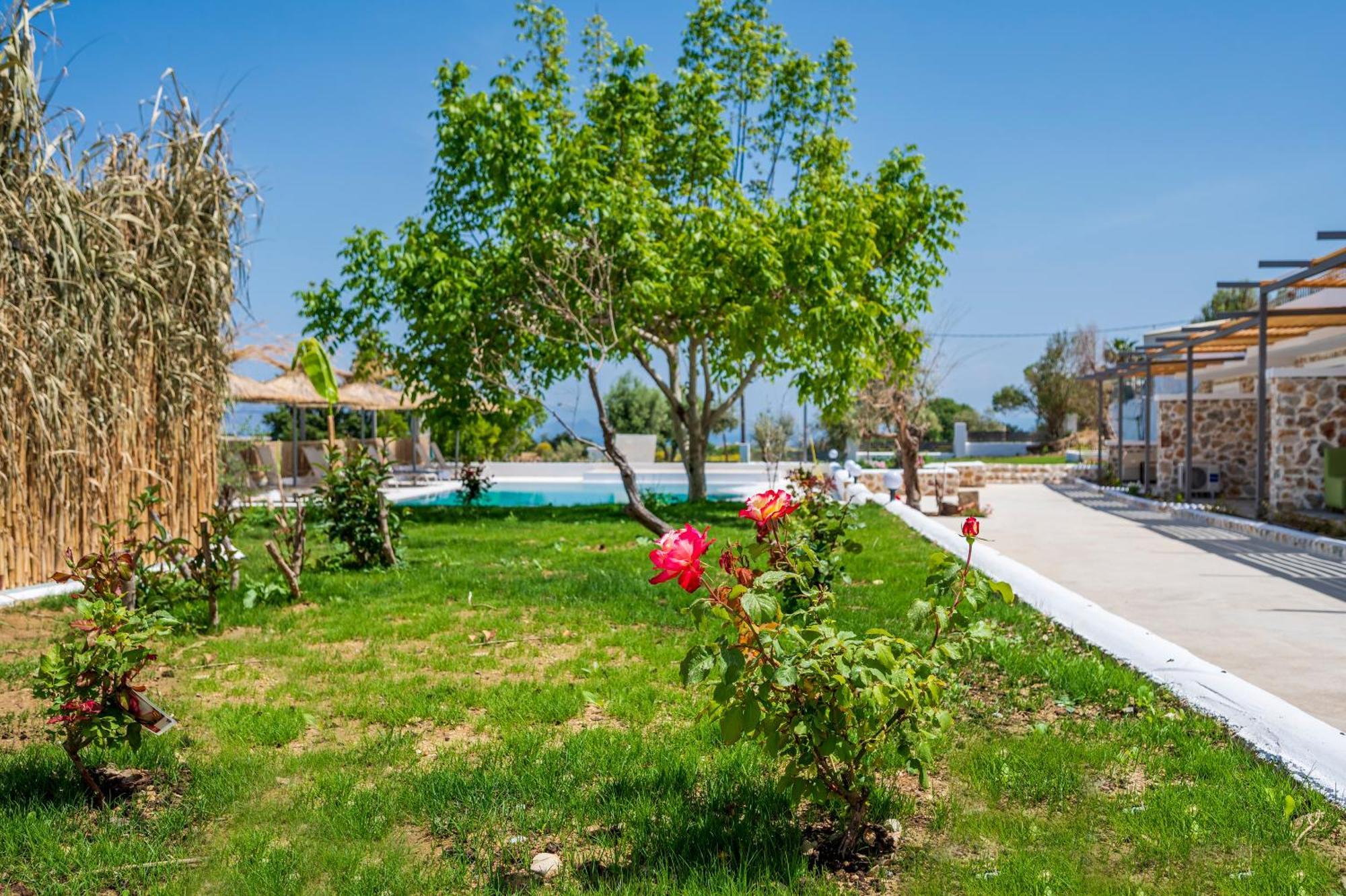 Homes Eva'S Garden, Poolside Cozy Havens In Kos Agios Dimitrios  Ngoại thất bức ảnh